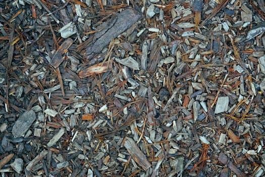 Casino imagen